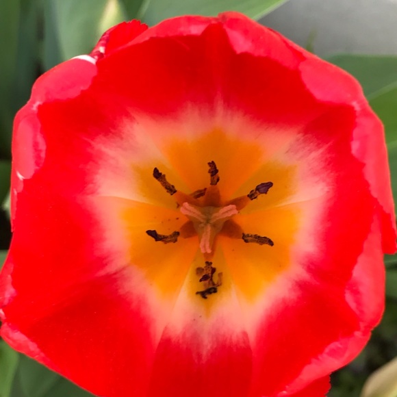 Meet your Posher, Tracey - Picture 7 of 8